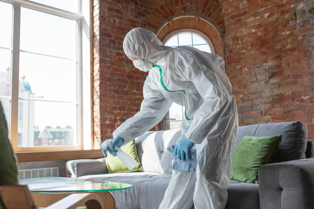 North Port, FL Mold Removal Services Company